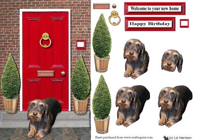 Miniature Wire Haired Dachshund with a Red Door