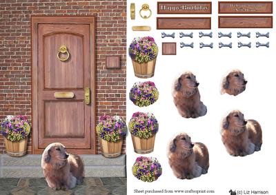 Long Haired Dachshund on a Door Step