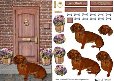 Dachshund on a Door Step
