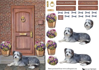 Bearded Collie on a Door Step