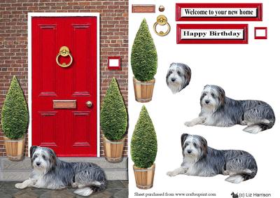 Bearded Collie with a Red Door
