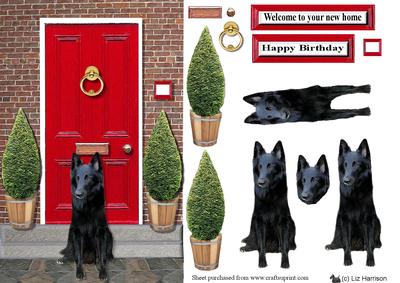 Belgian Shepherd Groenendael with a Red Door