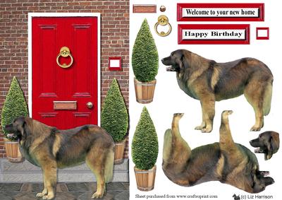 Estrela Mountain Dog with a Red Door