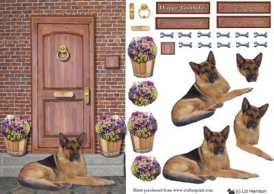 German Shepherd on a Door Step
