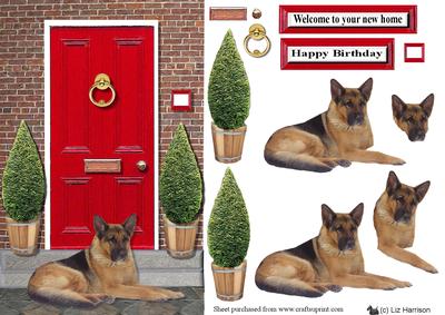 German Shepherd with a Red Door