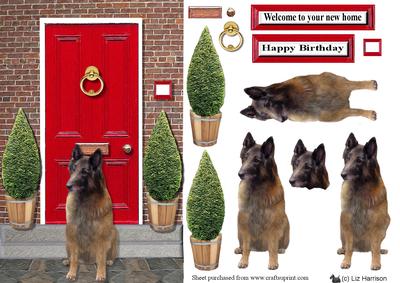 Belgian Shepherd with a Red Door