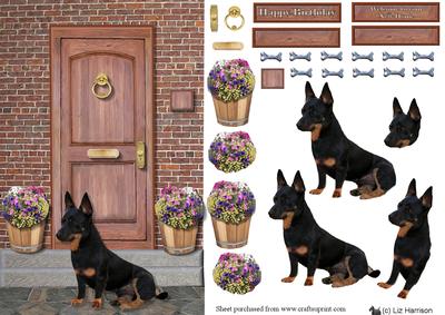 Lancashire Heeler on a Door Step