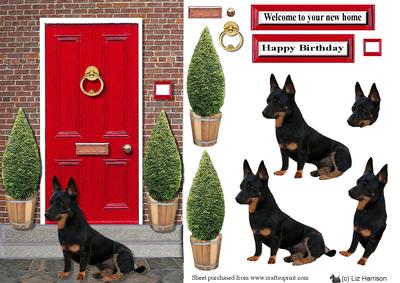 Lancashire Heeler with a Red Door