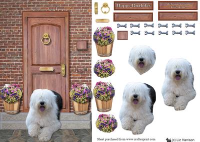 Old English Sheepdog on a Door Step