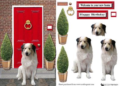 Pyrenean Mountain Dog with a Red Door
