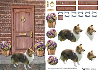 Shetland Sheepdog on a Door Step