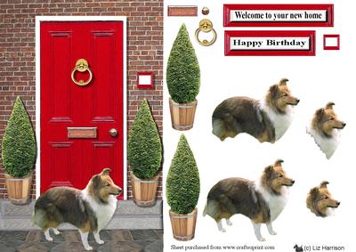 Shetland Sheepdog with a Red Door