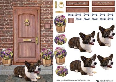Welsh Cardigan Corgi on a Door Step