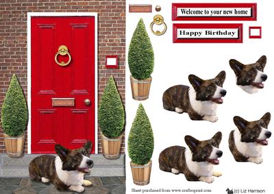 Welsh Cardigan Corgi with a Red Door