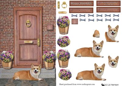 Welsh Pembroke Corgi on a Door Step