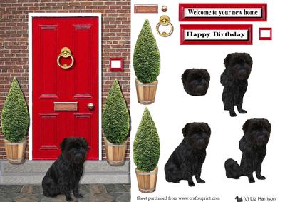 Affenpinscher Dog with a Red Door