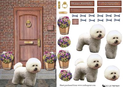Bichon Frise Door Step Scene