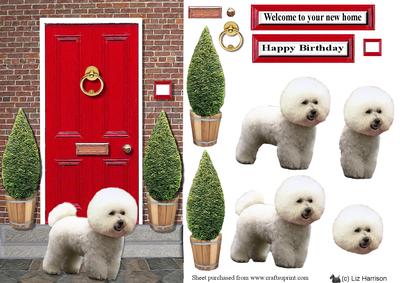 Bichon Frise with a Red Door