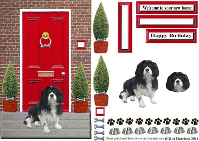 Cavalier King Charles Spaniel with a Red Door