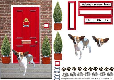 Chihuahua Smooth Coated with a Red Door