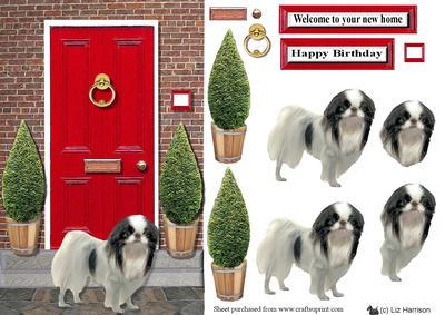 Japanese Chin with a Red Door