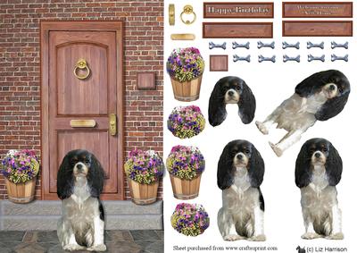 King Charles Spaniel on a Door Step
