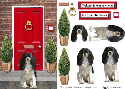 King Charles Spaniel with a Red Door