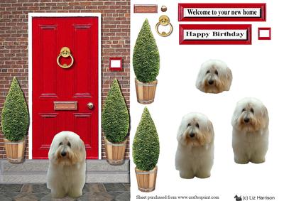 Coton De Tulear Dog with a Red Door