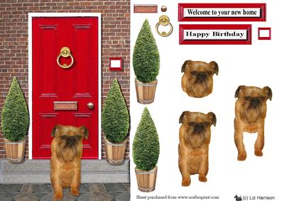 Griffon Bruxellois Dog with a Red Door
