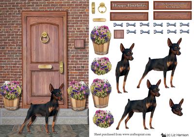 Miniature Pinscher on a Door Step