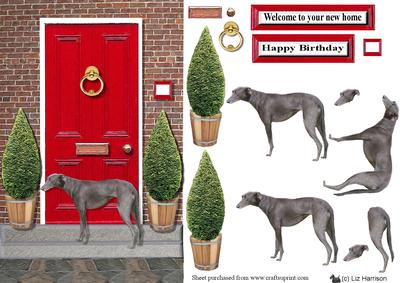 Italian Greyhound with a Red Door
