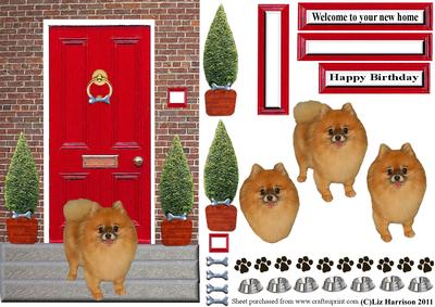 Pomeranian with a Red Door