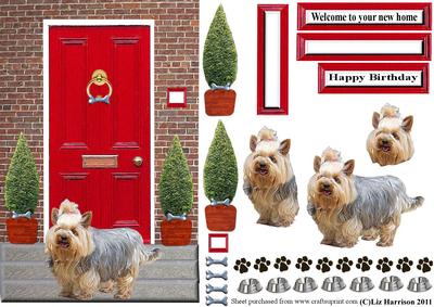 Yorkshire Terrier with a Red Door