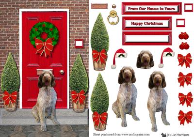 Italian Spinone Christmas Door Step