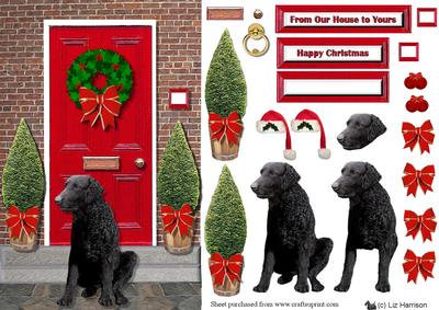 Curly Coated Retriever Christmas Door Step