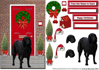 Smooth Coated Retriever Christmas Door Step