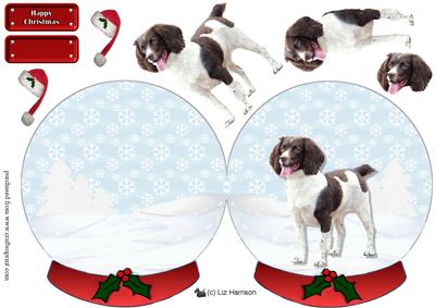 English Springer Spaniel in a Snow Globe