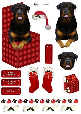 Rottweiler in a Christmas Box