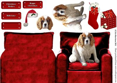 Cavalier King Charles Spaniel in a Christmas Arm Chair