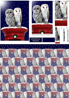 Owl Pair on a Post Box Pyramid with Background