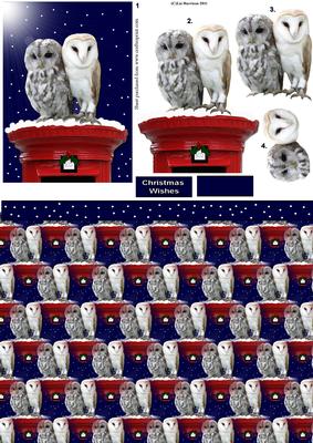 Owls on a Christmas Post Box Decoupage with Background
