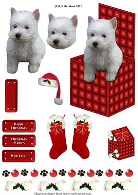 Westie in a Christmaxs Box