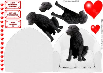 Curly Coated Retriever & Hearts Armchair Card