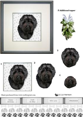 Affenpinscher Portrait 3D Decoupage