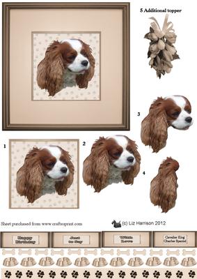 Cavalier King Charles Portrait 3D Decoupage