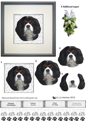 Cavalier King Charles Portrait 3D Decoupage