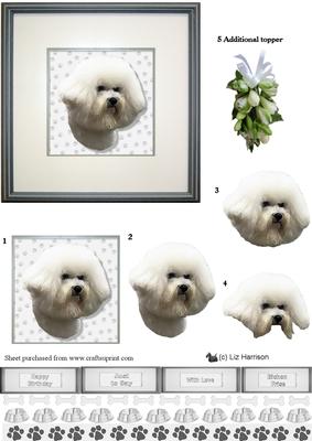 Bichon Frise Portrait 3D Decoupage