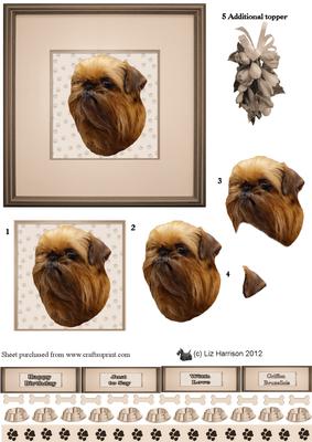 Griffon Bruxellois Portrait 3D Decoupage