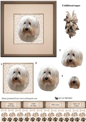 Coton De Tulear Portrait 3D Decoupage