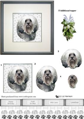 Lowchen (little Lion Dog) Portrait 3D Decoupage